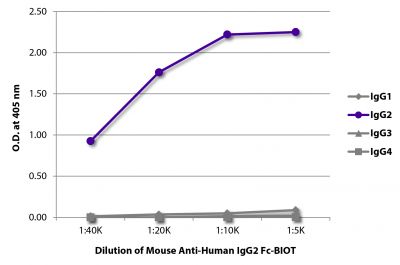 ELISA plate was coated with purified human IgG<sub>1</sub>, IgG<sub>2</sub>, IgG<sub>3</sub>, and IgG<sub>4</sub>.  Immunoglobulins were detected with serially diluted Mouse Anti-Human IgG<sub>2</sub> Fc-BIOT (SB Cat. No. 9060-08) followed by Streptavidin-HRP (SB Cat. No. 7100-05).