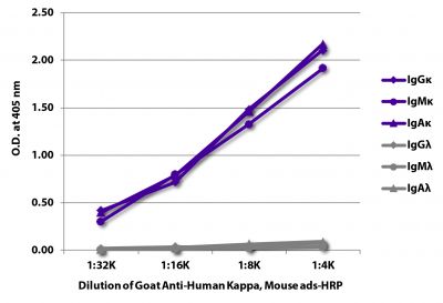 ELISA plate was coated with purified human IgGκ, IgMκ, IgAκ, IgGλ, IgMλ, and IgAλ.  Immunoglobulins were detected with serially diluted Goat Anti-Human Kappa, Mouse ads-HRP (SB Cat. No. 2061-05).