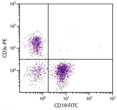 BALB/c mouse splenocytes were stained with Hamster Anti-Mouse CD3ε-PE (SB Cat. No. 1531-09) and Rat Anti-Mouse CD19-FITC (SB Cat. No. 1575-02).