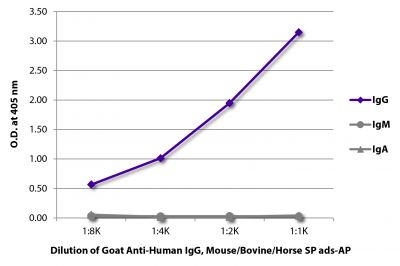 ELISA plate was coated with purified human IgG, IgM, and IgA.  Immunoglobulins were detected with serially diluted Goat Anti-Human IgG, Mouse/Bovine/Horse SP ads-AP (SB Cat. No. 2045-04).