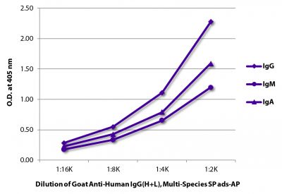 ELISA plate was coated with purified human IgG, IgM, and IgA.  Immunoglobulins were detected with serially diluted Goat Anti-Human IgG(H+L), Multi-Species SP ads-AP (SB Cat. No. 2087-04).