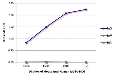 ELISA plate was coated with purified human IgG, IgM, and IgA.  Immunoglobulins were detected with serially diluted Mouse Anti-Human IgG Fc-BIOT (SB Cat. No. 9042-08) followed by Streptavidin-HRP (SB Cat. No. 7100-05).