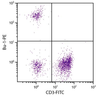 Chicken peripheral blood lymphocytes were stained with Mouse Anti-Chicken Bu-1-PE (SB Cat. No. 8395-09) and Mouse Anti-Chicken CD3-FITC (SB Cat. No. 8200-02).