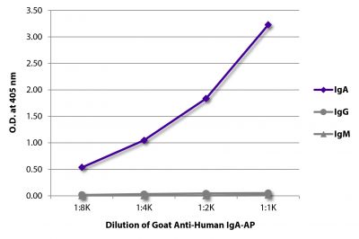 ELISA plate was coated with purified human IgA, IgG, and IgM.  Immunoglobulins were detected with serially diluted Goat Anti-Human IgA-AP (SB Cat. No. 2050-04).