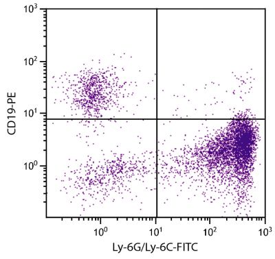 BALB/c mouse bone marrow cells were stained with Rat Anti-Mouse Ly-6G/Ly-6C-FITC (SB Cat. No. 1900-02) and Rat Anti-Mouse CD19-PE (SB Cat. No. 1575-09).