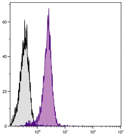 BALB/c mouse splenocytes were stained with Rat Anti-Mouse CD31-FITC (SB Cat. No. 1625-02).