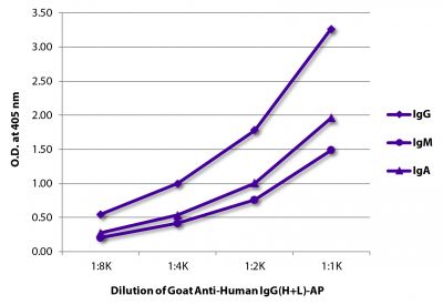 ELISA plate was coated with purified human IgG, IgM, and IgA.  Immunoglobulins were detected with serially diluted Goat Anti-Human IgG(H+L)-AP (SB Cat. No. 2015-04).