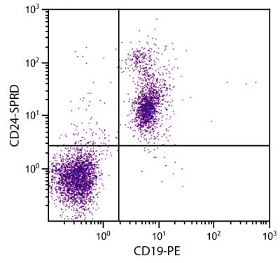 BALB/c mouse splenocytes were stained with Rat Anti-Mouse CD24-SPRD (SB Cat. No. 1815-13) and Rat Anti-Mouse CD19-PE (SB Cat. No. 1575-09).