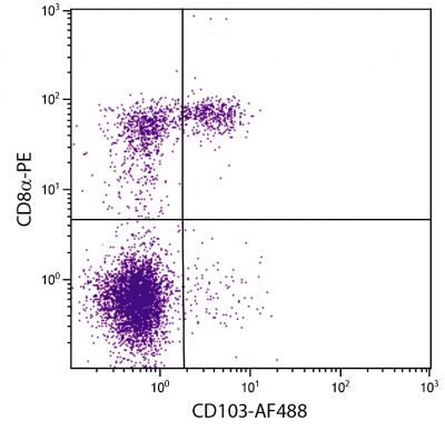 C57BL/6 mouse splenocytes were stained with Hamster Anti-Mouse CD103-AF488 (SB Cat. No. 1810-30) and Rat Anti-Mouse CD8α-PE (SB Cat. No. 1550-09).