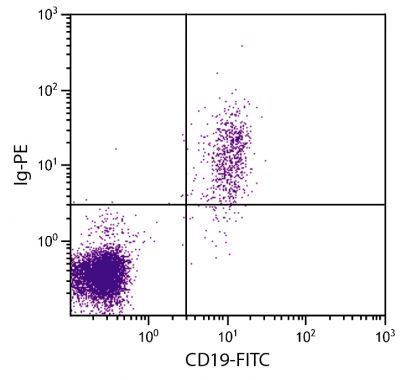 Human peripheral blood lymphocytes were stained with Goat F(ab')<sub>2</sub> Anti-Human Ig-PE (SB Cat. No. 2012-09) and Mouse Anti-Human CD19-FITC (SB Cat. No. 9340-02).