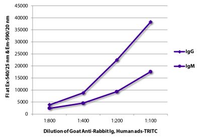 FLISA plate was coated with purified rabbit IgG and IgM.  Immunoglobulins were detected with serially diluted Goat Anti-Rabbit Ig, Human ads-TRITC (SB Cat. No. 4010-03).