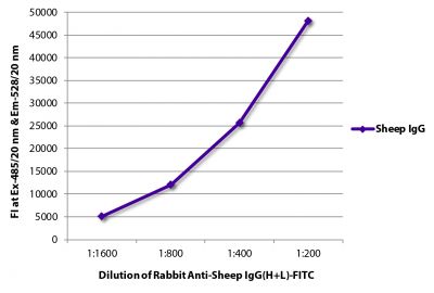 FLISA plate was coated with purified sheep IgG.  Immunoglobulin was detected with Rabbit Anti-Sheep IgG(H+L)-FITC (SB Cat. No. 6150-02).