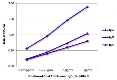 ELISA plate was coated with purified human IgG, IgM, and IgA.  Immunoglobulins were detected with serially diluted Goat Anti-Human IgG(H+L)-UNLB (SB Cat. No. 2015-01) followed by Mouse Anti-Goat IgG Fc-HRP (SB Cat. No. 6158-05).