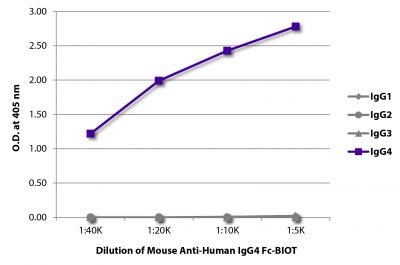 ELISA plate was coated with purified human IgG<sub>1</sub>, IgG<sub>2</sub>, IgG<sub>3</sub>, and IgG<sub>4</sub>.  Immunoglobulins were detected with serially diluted Mouse Anti-Human IgG<sub>4</sub> Fc-BIOT (SB Cat. No. 9200-08) followed by Streptavidin-HRP (SB Cat. No. 7100-05).