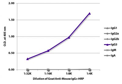 ELISA plate was coated with purified mouse IgG<sub>1</sub>, IgG<sub>2a</sub>, IgG<sub>2b</sub>, IgG<sub>3</sub>, IgM, and IgA.  Immunoglobulins were detected with serially diluted Goat Anti-Mouse IgG<sub>3</sub>-HRP (SB Cat. No. 1101-05).