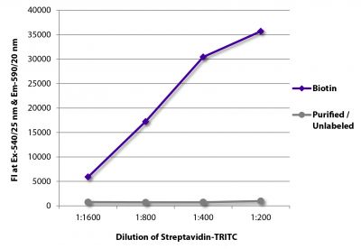 FLISA plate was coated with Goat Anti-Human IgG-BIOT (SB Cat. No. 2040-08) and purified/unlabeled Rat IgG<sub>1</sub>κ.  Biotin conjugated antibody and purified immunoglobulin were detected with serially diluted Streptavidin-TRITC (SB Cat. No. 7105-03).