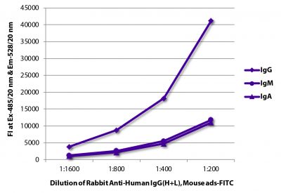 FLISA plate was coated with purified human IgG, IgM, and IgA.  Immunoglobulins were detected with Rabbit Anti-Human IgG(H+L), Mouse ads-FITC (SB Cat. No. 6145-02).