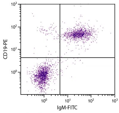 BALB/c mouse splenocytes were stained with Rat Anti-Mouse IgM-FITC (SB Cat. No. 1140-02) and Rat Anti-Mouse CD19-PE (SB Cat. No. 1575-09).