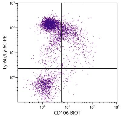 BALB/c mouse bone marrow cells were stained with Rat Anti-Mouse CD106-BIOT (SB Cat. 1510-08) and Rat Anti-Mouse Ly-6G/Ly-6C-PE (SB Cat. No. 1900-09) followed by Streptavidin-FITC (SB Cat. No. 7100-02).