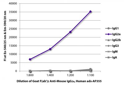 FLISA plate was coated with purified mouse IgG<sub>1</sub>, IgG<sub>2a</sub>, IgG<sub>2b</sub>, IgG<sub>3</sub>, IgM, and IgA.  Immunoglobulins were detected with serially diluted Goat F(ab')<sub>2</sub> Anti-Mouse IgG<sub>2a</sub>, Human ads-AF555 (SB Cat. No. 1082-32).