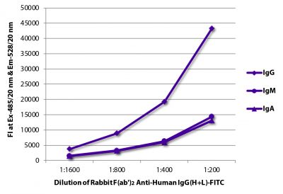 FLISA plate was coated with purified human IgG, IgM, and IgA.  Immunoglobulins were detected with Rabbit F(ab')<sub>2</sub> Anti-Human IgG(H+L)-FITC (SB Cat. No. 6000-02).