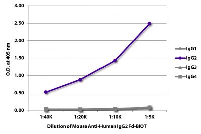 ELISA plate was coated with purified human IgG<sub>1</sub>, IgG<sub>2</sub>, IgG<sub>3</sub>, and IgG<sub>4</sub>.  Immunoglobulins were detected with serially diluted Mouse Anti-Human IgG<sub>2</sub> Fd-BIOT (SB Cat. No. 9080-08) followed by Streptavidin-HRP (SB Cat. No. 7100-05).