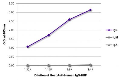 ELISA plate was coated with purified human IgG, IgM, and IgA.  Immunoglobulins were detected with serially diluted Goat Anti-Human IgG-HRP (SB Cat. No. 2040-05).