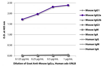 ELISA plate was coated with purified mouse IgG<sub>1</sub>, IgG<sub>2a</sub>, IgG<sub>2b</sub>, IgG<sub>3</sub>, IgM, and IgA and human IgG, IgM, and IgA.  Immunoglobulins were detected with serially diluted Goat Anti-Mouse IgG<sub>2a</sub>, Human ads-UNLB (SB Cat. No. 1080-01) followed by Mouse Anti-Goat IgG Fc-HRP (SB Cat. No. 6158-05).
