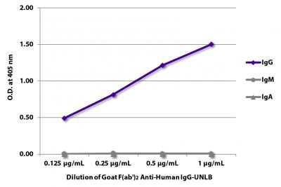 ELISA plate was coated with purified human IgG, IgM, and IgA.  Immunoglobulins were detected with serially diluted Goat F(ab')<sub>2</sub> Anti-Human IgG-UNLB (SB Cat. No. 2042-01) followed by Swine Anti-Goat IgG(H+L), Human/Rat/Mouse SP ads-HRP (SB Cat. No. 6300-05).