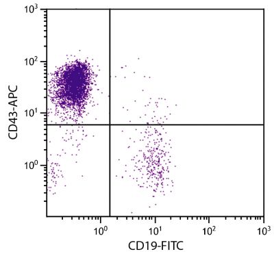 Human peripheral blood lymphocytes were stained with Mouse Anti-Human CD43-APC (SB Cat. No. 9620-11) and Mouse Anti-Human CD19-FITC (SB Cat. No. 9340-02).