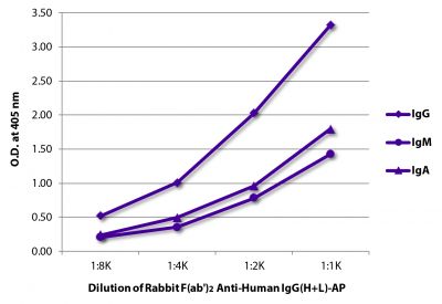 ELISA plate was coated with purified human IgG, IgM, and IgA.  Immunoglobulins were detected with Rabbit F(ab')<sub>2</sub> Anti-Human IgG(H+L)-AP (SB Cat. No. 6000-04).