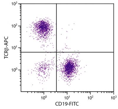 BALB/c mouse splenocytes were stained with Hamster Anti-Mouse TCRβ-APC (SB Cat. No. 1785-11) and Rat Anti-Mouse CD19-FITC (SB Cat. No. 1575-02).