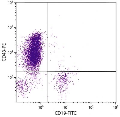 Human peripheral blood lymphocytes were stained with Mouse Anti-Human CD43-PE (SB Cat. No. 9620-09) and Mouse Anti-Human CD19-FITC (SB Cat. No. 9340-02).