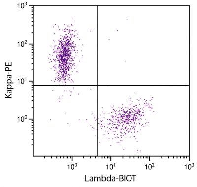 CD19+ human B-lymphocytes were stained with Goat Anti-Human Lambda, Mouse ads-BIOT (SB Cat. 2071-08) and Goat F(ab')<sub>2</sub> Anti-Human Kappa, Mouse ads-PE (SB Cat. No. 2063-09) followed by Streptavidin-FITC (SB Cat. No. 7100-02).