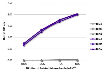 ELISA plate was coated with purified mouse IgGκ, IgMκ, IgAκ, IgGλ, IgMλ, and IgAλ.  Immunoglobulins were detected with serially diluted Rat Anti-Mouse Lambda-BIOT (SB Cat. No. 1175-08) followed by Streptavidin-HRP (SB Cat. No. 7100-05).