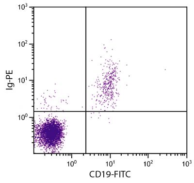 Human peripheral blood lymphocytes were stained with Goat Anti-Human Ig-PE (SB Cat. No. 2010-09) and Mouse Anti-Human CD19-FITC (SB Cat. No. 9340-02).