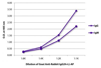 ELISA plate was coated with purified rabbit IgG and IgM.  Immunoglobulins were detected with serially diluted Goat Anti-Rabbit IgG(H+L)-AP (SB Cat. No. 4055-04).