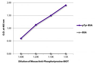 ELISA plate was coated with BSA and BSA conjugated to phosphotyrosine (pTry-BSA).  Phosphotyrosine was detected with serially diluted Mouse Anti-Phosphotyrosine-BIOT (SB Cat. No. 1400-08) followed by Streptavidin-HRP (SB Cat. No. 7100-05).