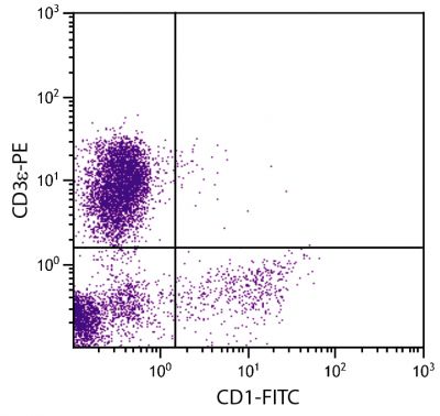 Porcine peripheral blood lymphocytes were stained with Mouse Anti-Porcine CD1-FITC (SB Cat. No. 4500-02) and Mouse Anti-Porcine CD3ε-PE (SB Cat. No. 4510-09).