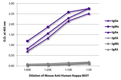 ELISA plate was coated with purified human IgGκ, IgMκ, IgAκ, IgGλ, IgMλ, and IgAλ.  Immunoglobulins were detected with serially diluted Mouse Anti-Human Kappa-BIOT (SB Cat. No. 9230-08) followed by Streptavidin-HRP (SB Cat. No. 7100-05).