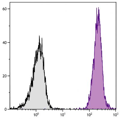 BALB/c mouse splenocytes were stained with Mouse Anti-Mouse H-2Kd/H-2Dd-PE (SB Cat. No. 1911-09).