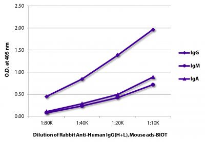 ELISA plate was coated with purified human IgG, IgM, and IgA.  Immunoglobulins were detected with Rabbit Anti-Human IgG(H+L), Mouse ads-BIOT (SB Cat. No. 6145-08) followed by Strepatvidin-HRP (SB Cat. No. 7100-05).