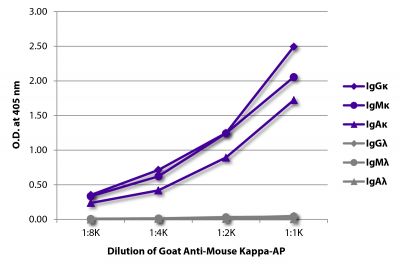 ELISA plate was coated with purified mouse IgGκ, IgMκ, IgAκ, IgGλ, IgMλ, and IgAλ.  Immunoglobulins were detected with serially diluted Goat Anti-Mouse Kappa-AP (SB Cat. No. 1050-04).