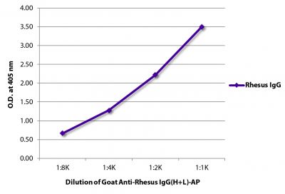 ELISA plate was coated with purified rhesus IgG.  Immunoglobulin was detected with Goat Anti-Rhesus IgG(H+L)-AP (SB Cat. No. 6200-04).