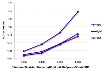 ELISA plate was coated with purified human IgG, IgM, and IgA.  Immunoglobulins were detected with serially diluted Goat Anti-Human IgG(H+L), Multi-Species SP ads-BIOT (SB Cat. No. 2087-08) followed by Streptavidin-HRP (SB Cat. No. 7100-05).