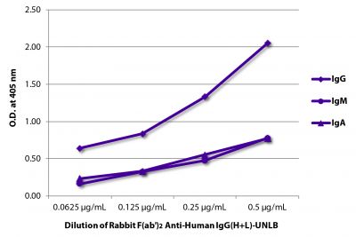 ELISA plate was coated with purified human IgG, IgM, and IgA.  Immunoglobulins were detected with Rabbit F(ab')<sub>2</sub> Anti-Human IgG(H+L)-UNLB (SB Cat. No. 6000-01) followed by Goat Anti-Rabbit IgG(H+L), Mouse/Human ads-HRP (SB Cat. No. 4050-05).