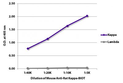 ELISA plate was coated with purified rat IgG<sub>1</sub>κ, IgG<sub>2a</sub>λ, IgG<sub>2a</sub>λ, IgG<sub>2b</sub>κ, IgG<sub>2b</sub>λ, IgG<sub>2c</sub>κ, IgMκ, and IgMλ.  Immunoglobulins were detected with serially diluted Mouse Anti-Rat Kappa-BIOT (SB Cat. No. 3090-08) followed by Streptavidin-HRP (SB Cat. No. 7100-05).