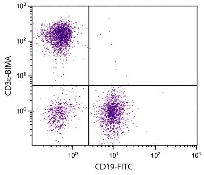 BALB/c mouse splenocytes were stained with Hamster Anti-Mouse CD3ε-BIMA (SB Cat. No. 1530-28) and Rat Anti-Mouse CD19-FITC (SB Cat. No. 1575-02) followed by Streptavidin-PE (SB Cat. No. 7100-09).