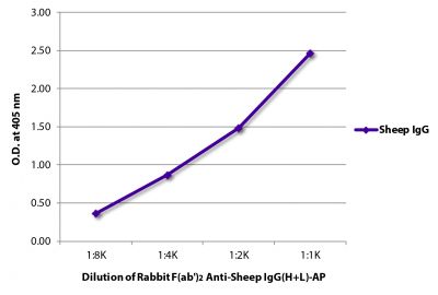ELISA plate was coated with purified sheep IgG.  Immunoglobulin was detected with Rabbit F(ab')<sub>2</sub> Anti-Sheep IgG(H+L)-AP (SB Cat. No. 6010-04).
