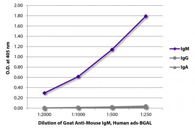 ELISA plate was coated with purified mouse IgM, IgG, and IgA.  Immunoglobulins were detected with serially diluted Goat Anti-Mouse IgM, Human ads-BGAL (SB Cat. No. 1020-06).